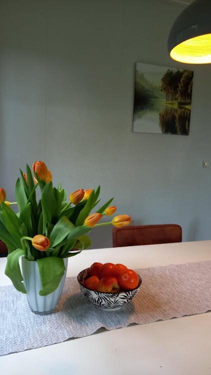 Woudthuisje Laag-Soeren Exteriör bild
